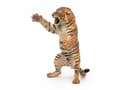 Miniatyrbild 5 av 5: Papo 50208, 108 g