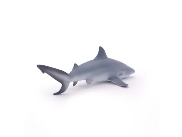 Papo 56044, 3 år, Marine life, Grå, Hvit, PVC