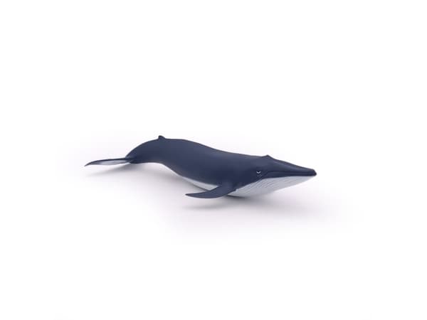 Papo Blue whale calf, 3 år, Marine life, Blå, PVC