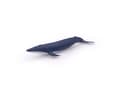 Miniatyrbilde 1 av 5: Papo Blue whale calf, 3 år, Marine life, Blå, PVC