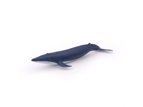 Papo Blue whale calf, 3 år, Marine life, Blå, PVC