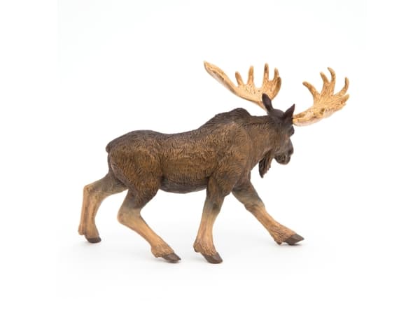 Papo 50065, 3 år, Wild animal kingdom, Brun, PVC