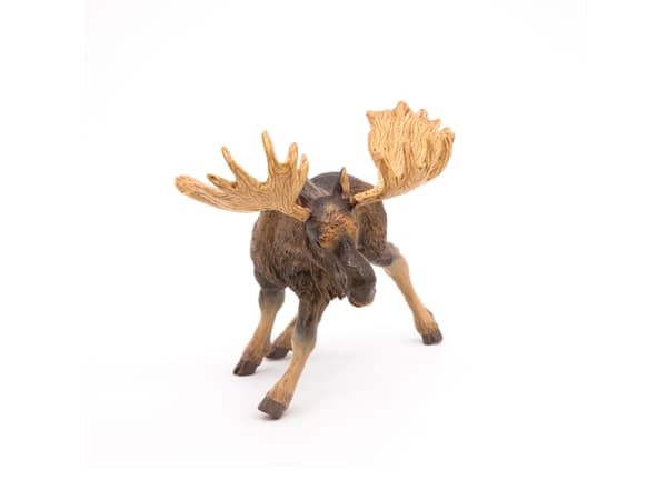 Papo 50065, 3 år, Wild animal kingdom, Brun, PVC
