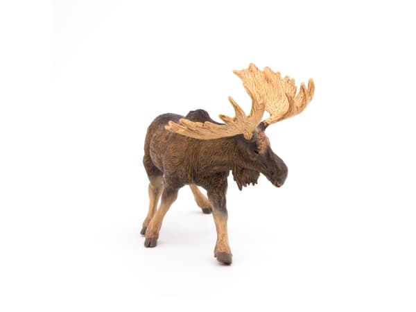 Papo 50065, 3 år, Wild animal kingdom, Brun, PVC