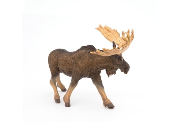 Papo 50065, 3 år, Wild animal kingdom, Brun, PVC