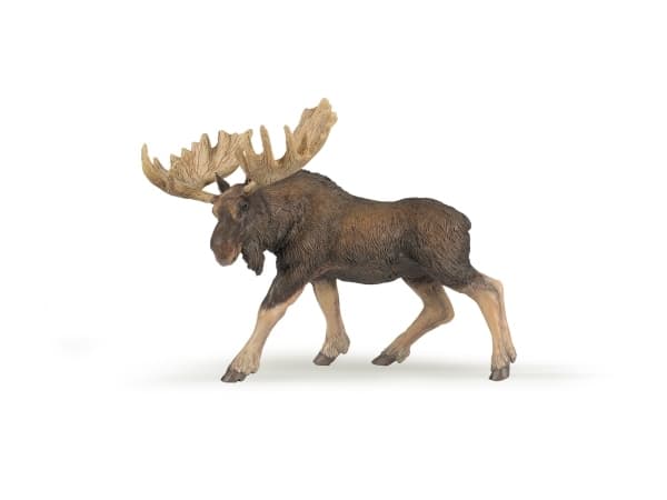 Papo 50065, 3 år, Wild animal kingdom, Brun, PVC