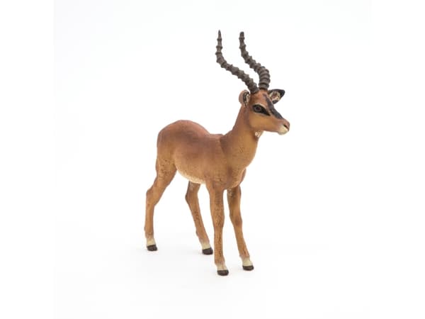 Papo 50186, 3 år, Wild animal kingdom, Brun, PVC