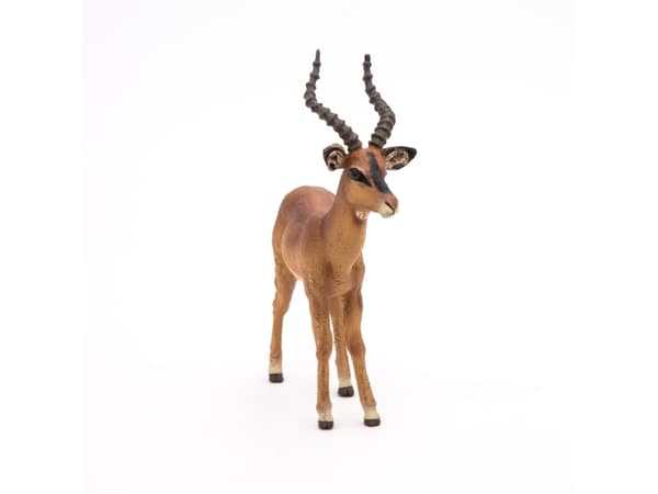 Papo 50186, 3 år, Wild animal kingdom, Brun, PVC
