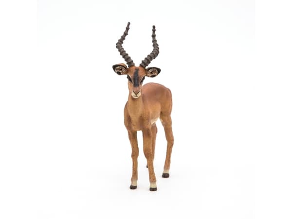 Papo 50186, 3 år, Wild animal kingdom, Brun, PVC