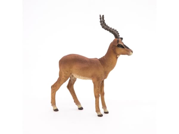Papo 50186, 3 år, Wild animal kingdom, Brun, PVC