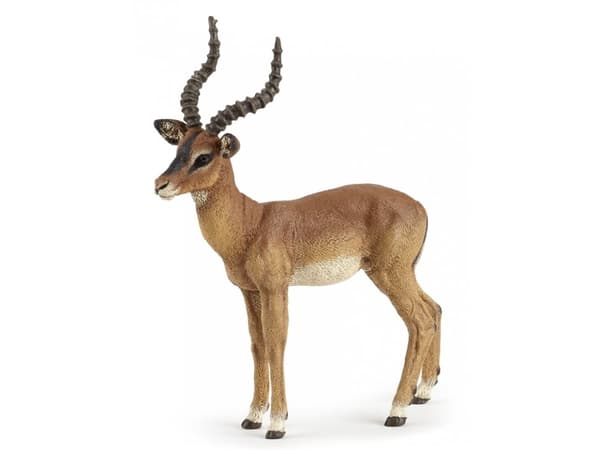 Papo 50186, 3 år, Wild animal kingdom, Brun, PVC