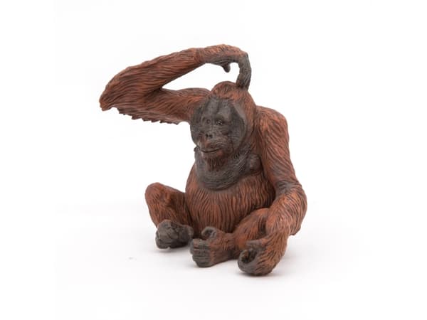 Papo 50120, 3 År, Wild animal kingdom, Brun, PVC
