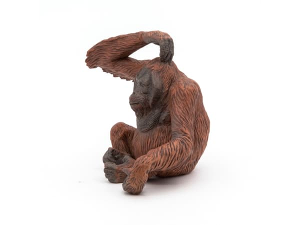 Papo 50120, 3 År, Wild animal kingdom, Brun, PVC