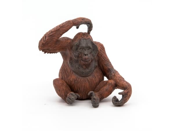 Papo 50120, 3 År, Wild animal kingdom, Brun, PVC