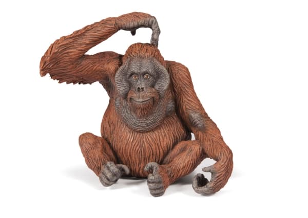 Papo 50120, 3 År, Wild animal kingdom, Brun, PVC