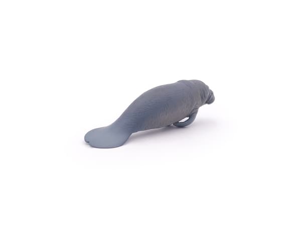 Papo 56043, 3 År, Marine life, Grå, PVC