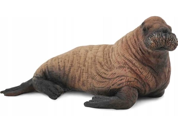 Figurine Collecta MORS YOUNG Mammal