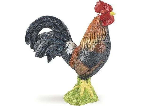 Papo Gallic rooster, 3 år, Farmyard friends, Flerfarget, PVC