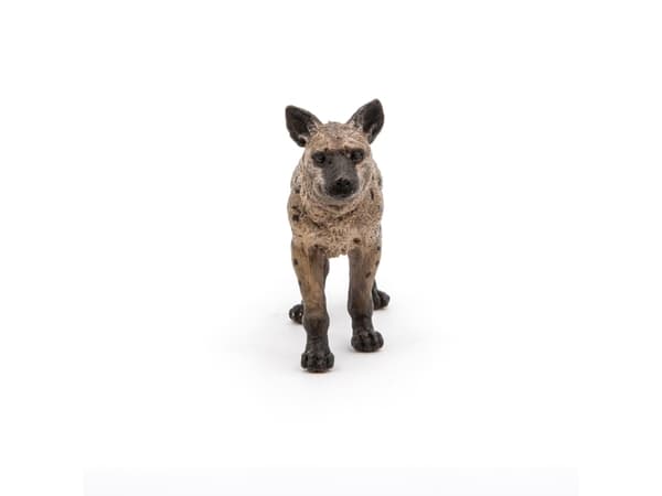 Papo 50252, 3 år, Wild animal kingdom, Flerfarget, PVC