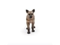 Miniatyrbilde 3 av 5: Papo 50252, 3 år, Wild animal kingdom, Flerfarget, PVC