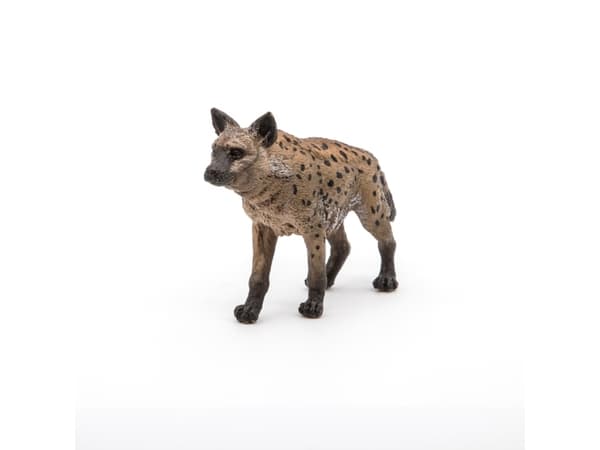 Papo 50252, 3 år, Wild animal kingdom, Flerfarget, PVC