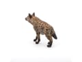 Miniatyrbilde 5 av 5: Papo 50252, 3 år, Wild animal kingdom, Flerfarget, PVC
