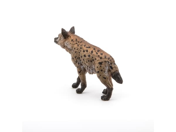 Papo 50252, 3 år, Wild animal kingdom, Flerfarget, PVC