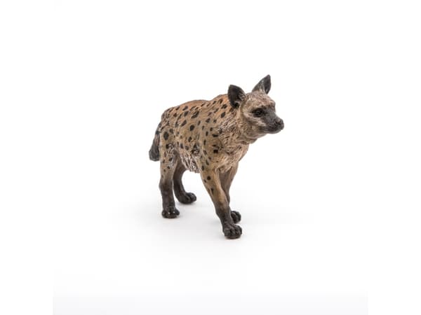 Papo 50252, 3 år, Wild animal kingdom, Flerfarget, PVC