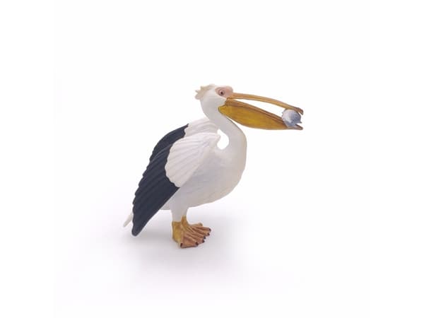 Papo 56009, 3 År, Marine life, Multifärg, PVC