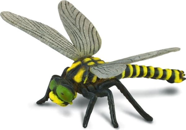 Figurka Collecta Ważka (004-88350)