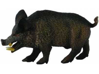 Figurka Collecta Dzik Odyniec (004-88363)