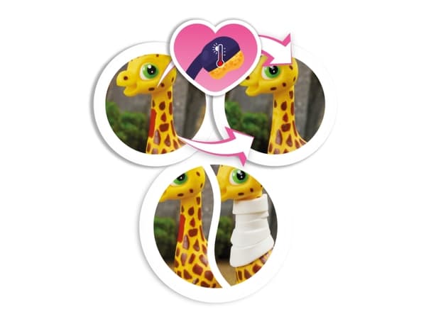Safari expedition