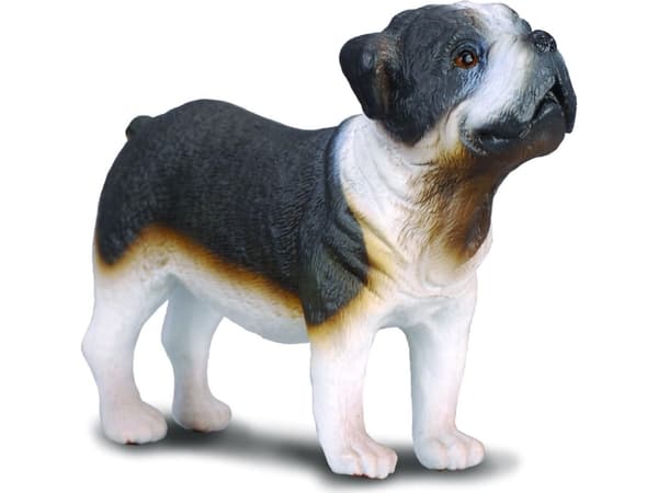 Collect figurine dog Bulldog breed (004-88179)