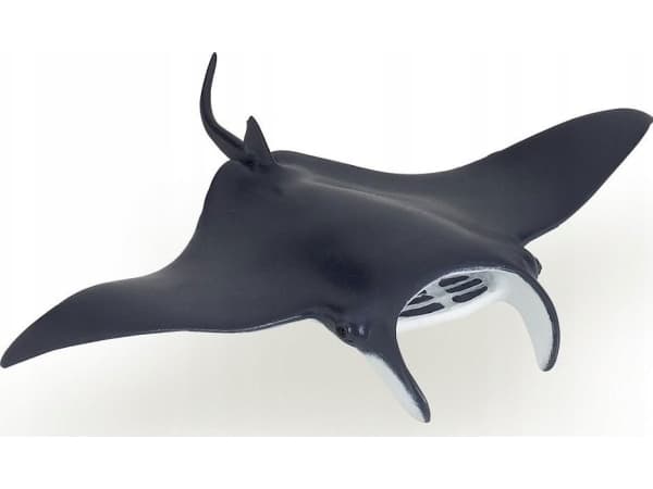 Papo 56006, 3 år, Marine life, Sort, Hvit, PVC