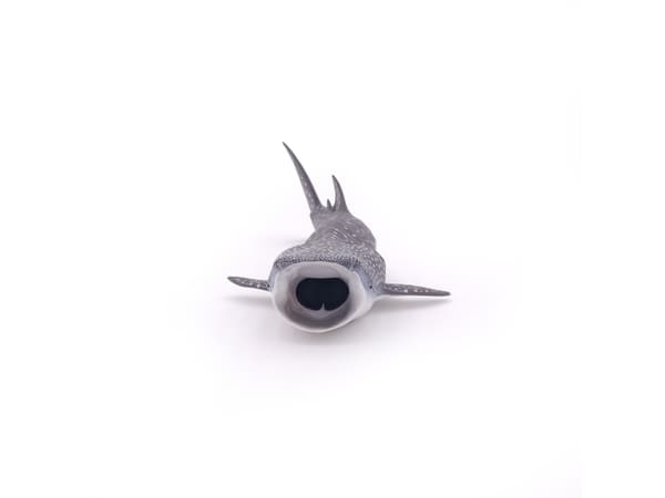 Papo 56039, 3 år, Marine life, Grå, Hvit, PVC