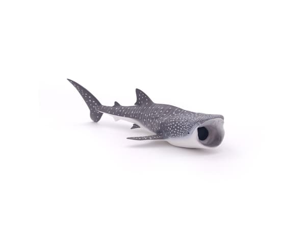 Papo 56039, 3 år, Marine life, Grå, Hvit, PVC