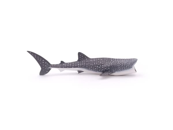 Papo 56039, 3 år, Marine life, Grå, Hvit, PVC