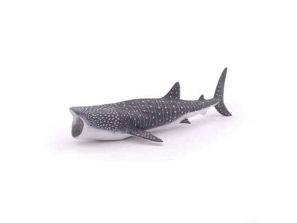 Papo 56039, 3 år, Marine life, Grå, Hvit, PVC