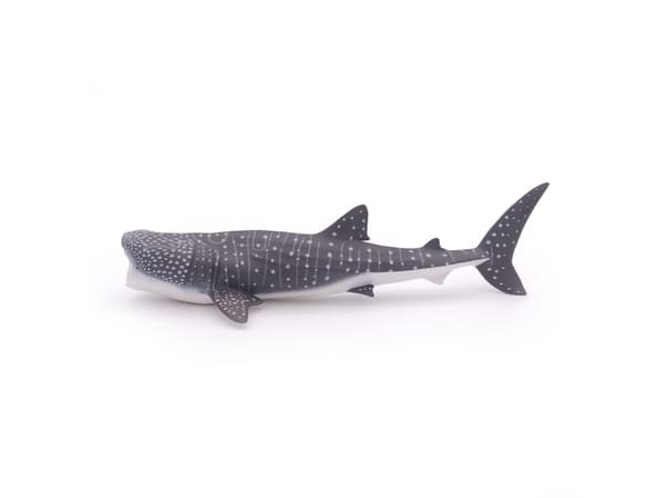 Papo 56039, 3 År, Marine life, Grå, Vit, PVC