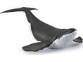 Miniatyrbilde 4 av 4: Papo 56035, 3 år, Marine life, Sort, Hvit, PVC