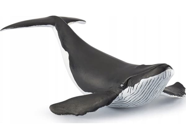 Papo 56035, 3 år, Marine life, Sort, Hvit, PVC