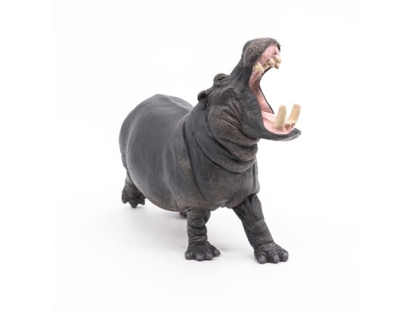 Papo 50051, 3 År, Wild animal, Grå, PVC