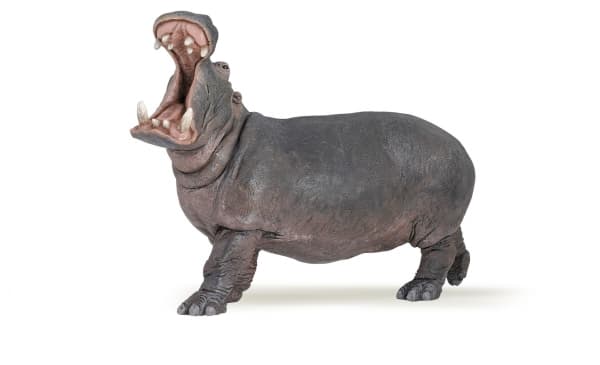 Papo 50051, 3 År, Wild animal, Grå, PVC