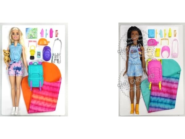 Barbie Camping doll with accessories (1 pcs) - Assorted