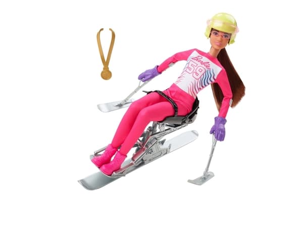 Barbie Winter Sports (1 pcs) - Assorted