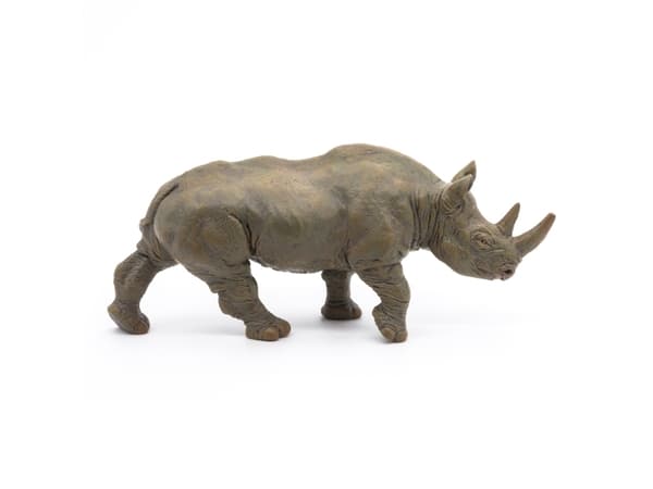 Papo 50066, 3 År, Wild animal kingdom, Grå, PVC
