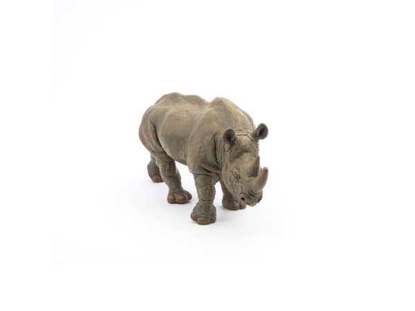 Papo 50066, 3 År, Wild animal kingdom, Grå, PVC
