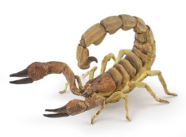 Papo 50209, Samlarfigur, Filmer och TV-serier, 20 g