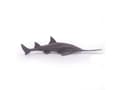Miniatyrbilde 1 av 5: Papo Sawfish, 3 år, Marine life, Grå, PVC