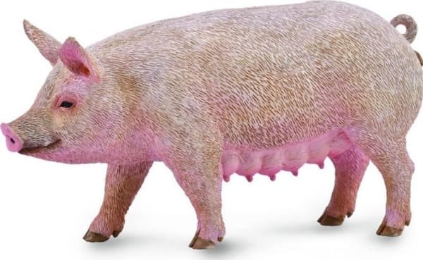 CollectA Sow M toy